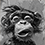 Benutzeravatar